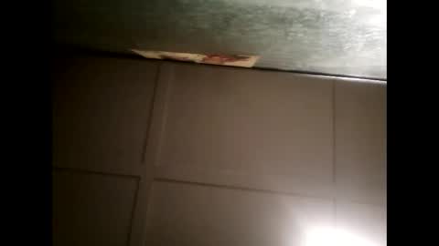 Warwick online show from 16, 2, 2025