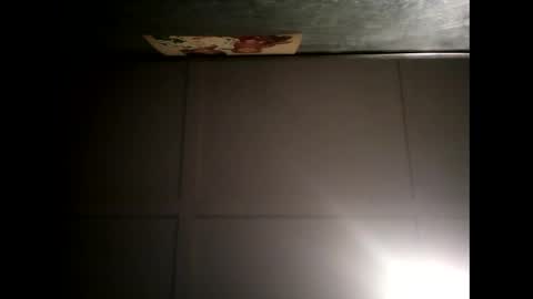 Warwick online show from 20, 2, 2025