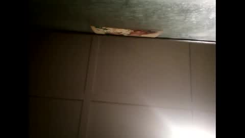 Warwick online show from 20, 2, 2025