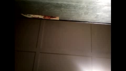 Warwick online show from 21, 2, 2025