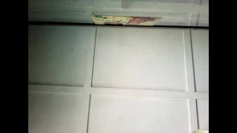 Warwick online show from 24, 2, 2025