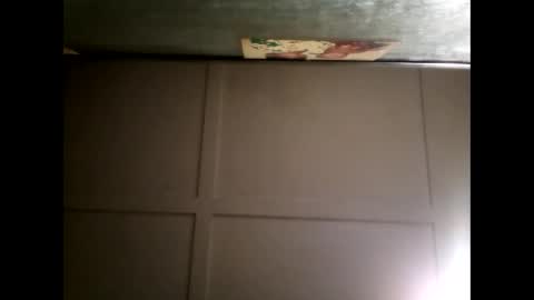 Warwick online show from 25, 2, 2025