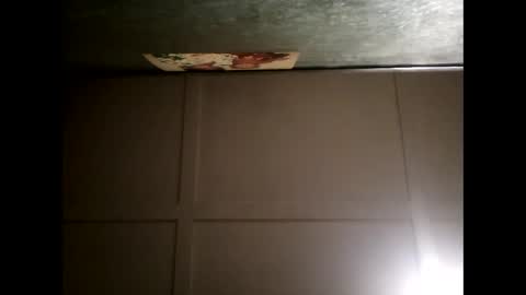 Warwick online show from 28, 2, 2025