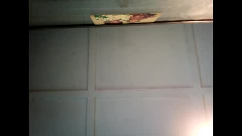 Warwick online show from 3, 3, 2025