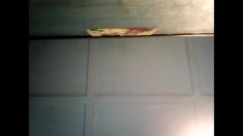 Warwick online show from 10, 3, 2025