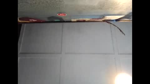 Warwick online show from 20, 9, 2025