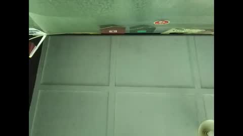 Warwick online show from 30, 9, 2025