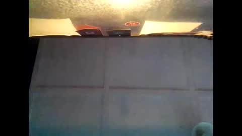 Warwick online show from 5, 10, 2025