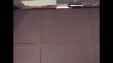 Warwick online show from 9, 11, 2025