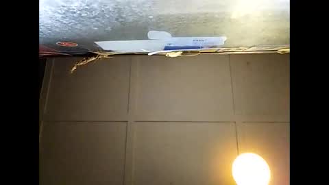 Warwick online show from 29, 11, 2025