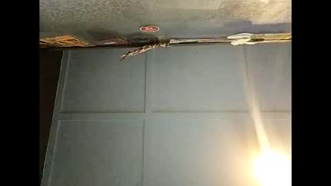 Warwick online show from 1, 12, 2025