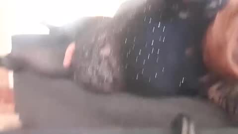 Snapshot of full4cefull chatting on 29, 12, 2024 Pizzaz online show from 29, 12, 2024