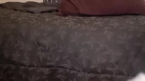 Snapshot of full4cefull chatting on 14, 1, 2025 Pizzaz online show from 14, 1, 2025