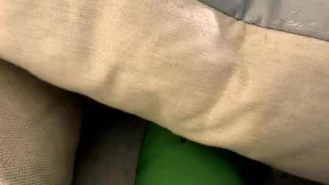 fun4him2018 online show from 12, 1, 2026