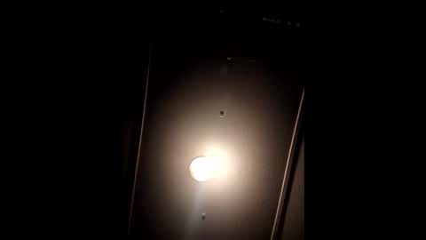 funncountry online show from 3, 1, 2025