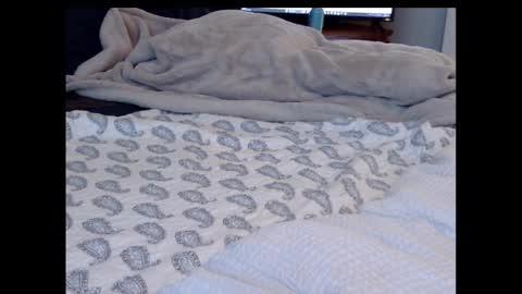 Funtimz16 online show from 13, 2, 2025