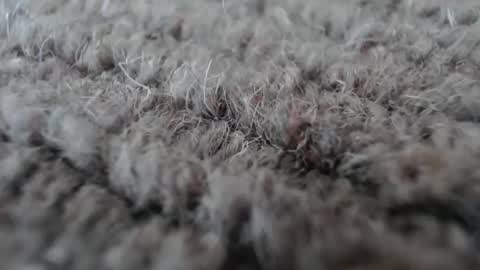 Mark online show from 19, 1, 2026