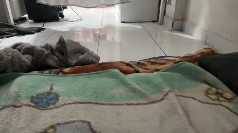 gab021593 online show from 8, 1, 2026