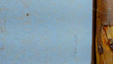 Snapshot of gabo_horny01 chatting on 20, 7, 2026 gabo_horny01 online show from 20, 7, 2026