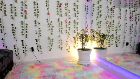 Gaby  online show from 2, 3, 2025