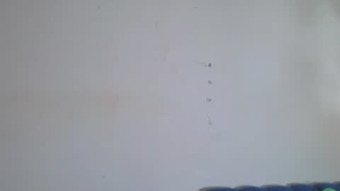 Snapshot of gael_david chatting on 12, 7, 2026 Gael online show from 12, 7, 2026