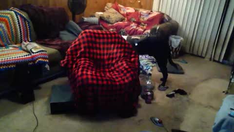 gamerfiend420 online show from 17, 10, 2025