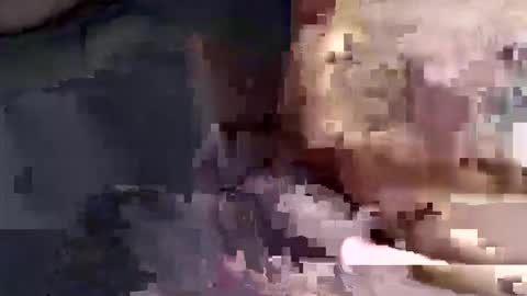 gatinhow82 online show from 26, 3, 2026