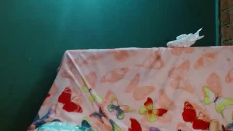 Snapshot of gatita_1997 chatting on 10, 11, 2025 estrella online show from 10, 11, 2025