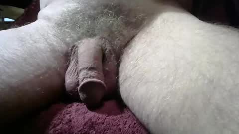 gemini_2 online show from 3, 3, 2026