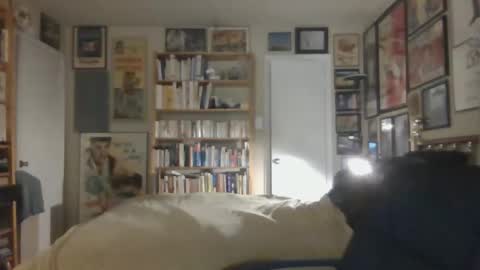 Snapshot of gentcallr chatting on 26, 11, 2025 Steve online show from 26, 11, 2025