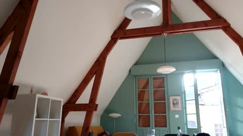 gentelassss online show from 4, 11, 2025