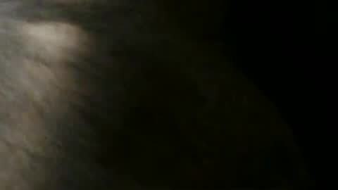 Snapshot of gericke218 chatting on 9, 6, 2026 Ball-torture online show from 9, 6, 2026