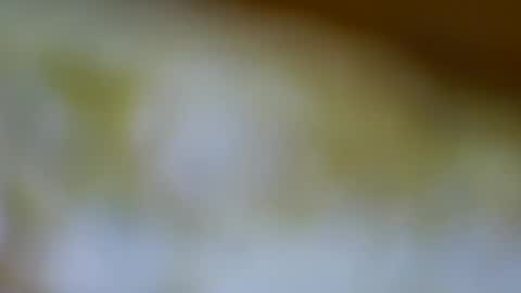 germanandy71 online show from 17, 11, 2025