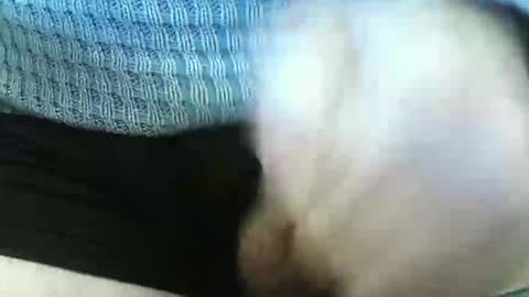 germandaddydick1 online show from 4, 6, 2026