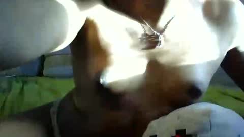 ghastgirlt_t online show from 13, 10, 2025