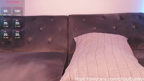 Bunny online show from 4, 12, 2024