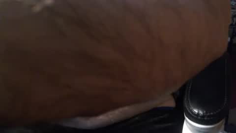 Snapshot of gianni9000000 chatting on 5, 2, 2026 Gianni9000000 online show from 5, 2, 2026