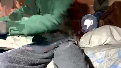 Corrado online show from 12, 1, 2025