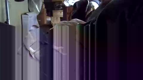 Corrado online show from 19, 1, 2026