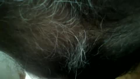 gigigegio sky online show from 26, 9, 2025