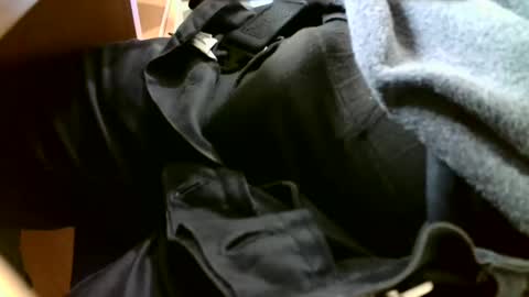 Snapshot of giovet chatting on 31, 12, 2024 giovet online show from 31, 12, 2024