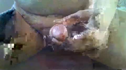 girafsnoop online show from 22, 11, 2025