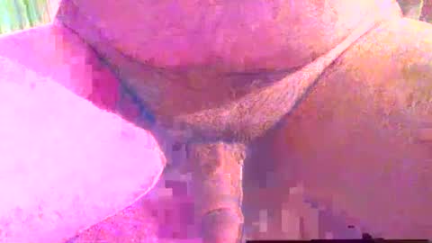 girafsnoop online show from 1, 12, 2025