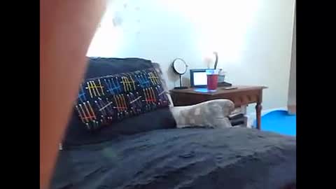 Iri online show from 15, 12, 2024