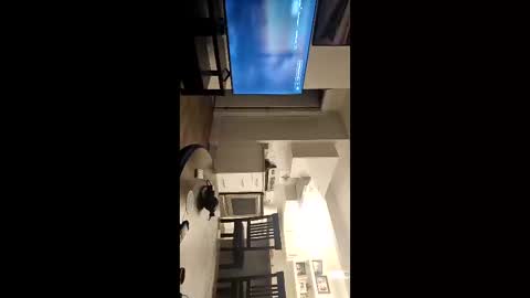 Snapshot of girthylax51 chatting on 9, 11, 2025 BIG K online show from 9, 11, 2025