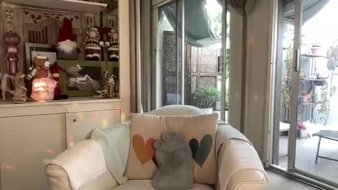 Gl1tter Barbie online show from 26, 11, 2025