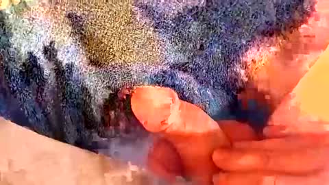 Gman online show from 2, 3, 2025