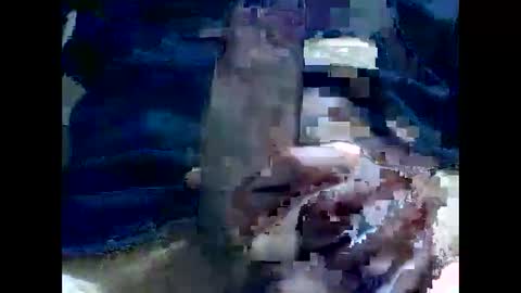 PencilDick online show from 2, 12, 2024