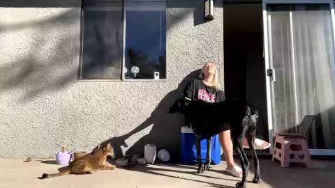 GoddessMayvn online show from 10, 12, 2024