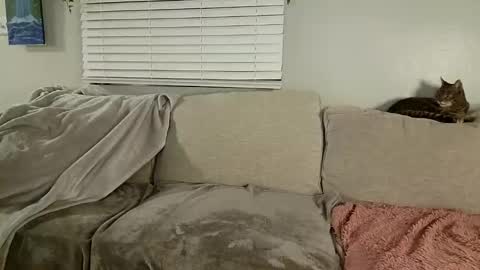 GoddessMayvn online show from 30, 1, 2025